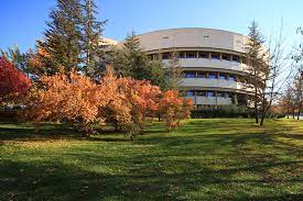 Academic Positions