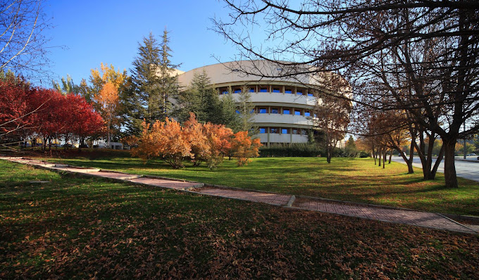Library Art Gallery